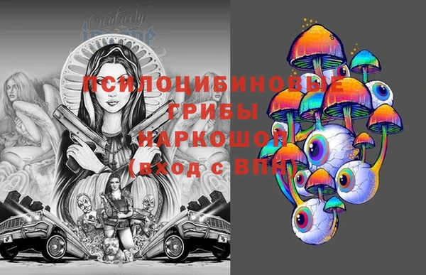 PSILOCYBIN Баксан