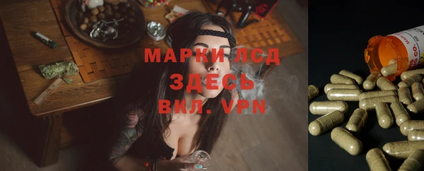 сатива Белокуриха