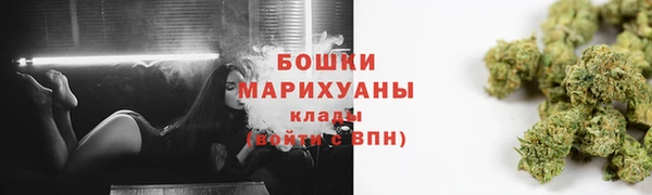 PSILOCYBIN Баксан